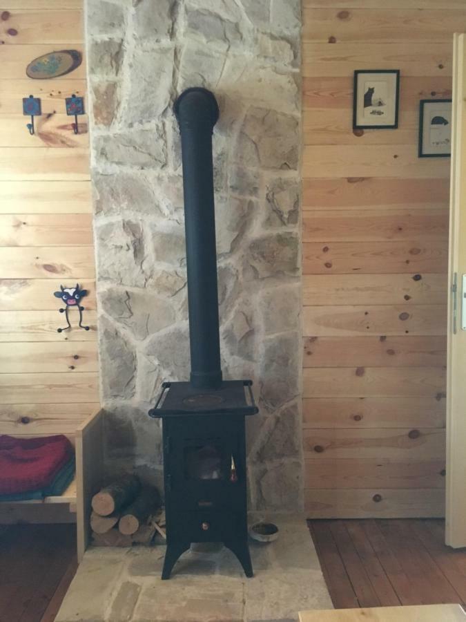 Cozy Cabin Žabljak Εξωτερικό φωτογραφία