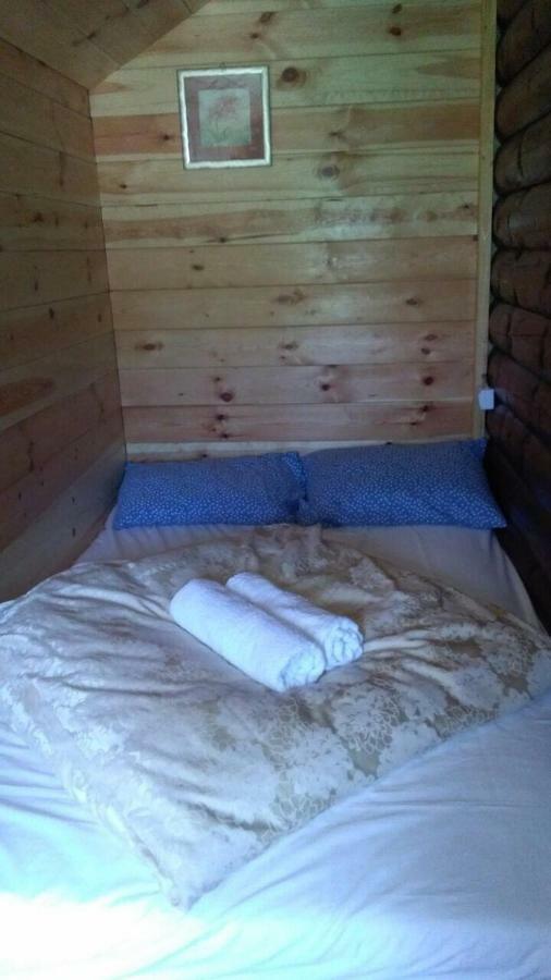 Cozy Cabin Žabljak Εξωτερικό φωτογραφία