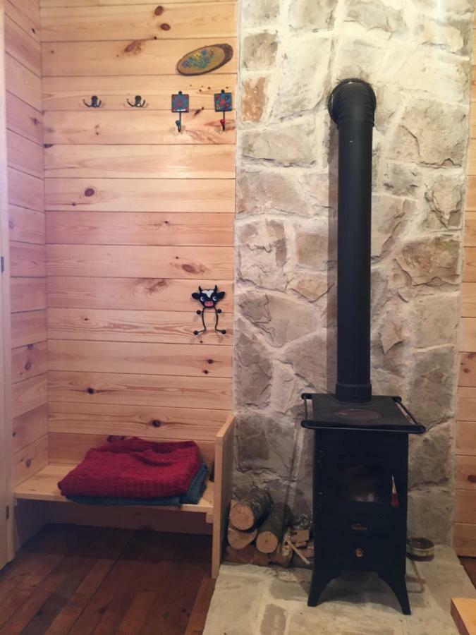Cozy Cabin Žabljak Εξωτερικό φωτογραφία
